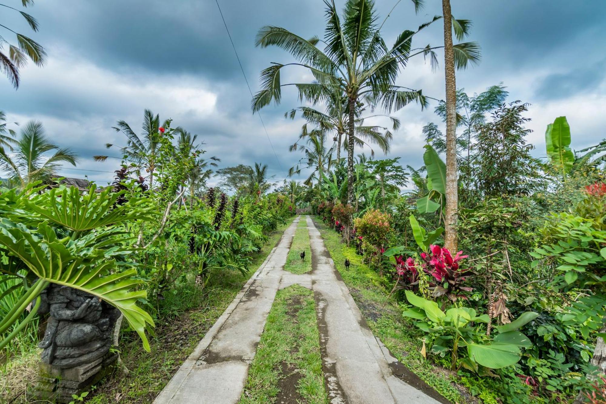 Ritual Ubud パヤンガン エクステリア 写真